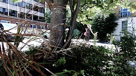 Chessie Kay Porn Videos 2025 Porn Star Sex Scenes XHamster