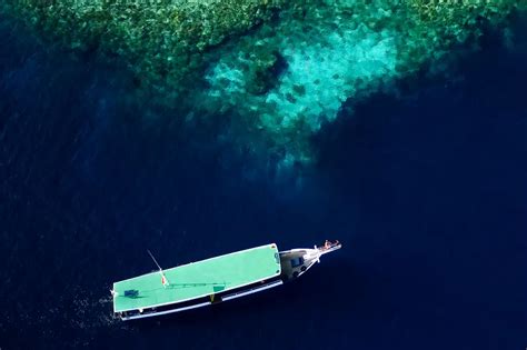 Wakatobi: Boat diving