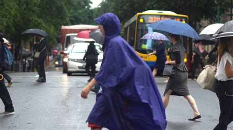 BOM forecasts more wet and wild weather for southern Queensland, likely ...