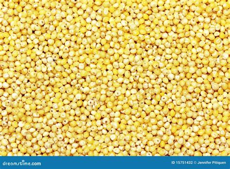 Millet Grains Stock Photography - Image: 15751432