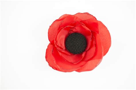 Coquelicot Symbole Du Jour Du Souvenir Signe De La Guerre Mondiale