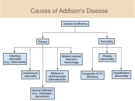 Addison S Disease Addisons Hemorrhage Adrenals Pharmacology Abnormal Autoimmune Parts