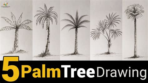 How To Draw A Realistic Palm Tree