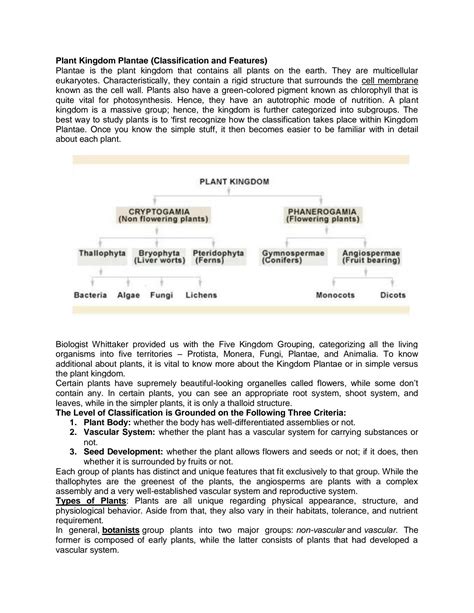 SOLUTION: Plant kingdom plantae classification and features - Studypool
