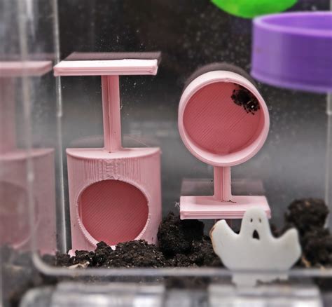 Jumping Spider Cat Scratcher Decoration – The Bearded Shrimp