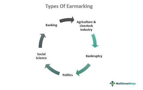 Earmarking Meaning Vs Pork Barrel Types Examples