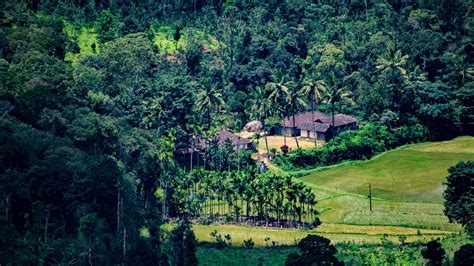 coorg food culinary magic   rivers forests  vast fields