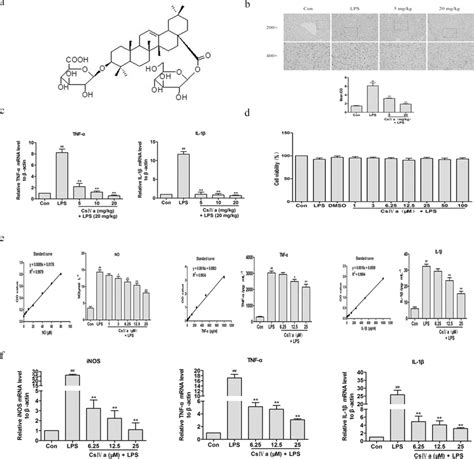 Csiva Treatment Inhibited Lps Induced Inflammation In Raw Cells