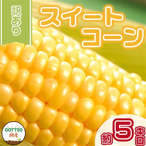 【6月下旬より出荷予定】訳あり スイートコーン（ゴールドラッシュ） 5kg 10～15本【阿波市・武澤農園】｜高知の人気産直お取り寄せ通販なら