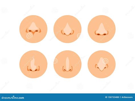 Cartoon noses vector stock vector. Illustration of rhinoplasty - 150733488