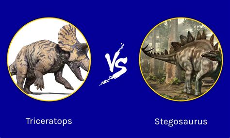 Triceratops vs Stegosaurus: Who Would Win in a Fight? - IMP WORLD