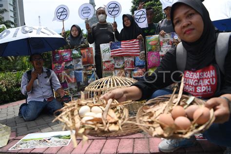 AKSI DAMPAK BAKAR SAMPAH PLASTIK | ANTARA Foto