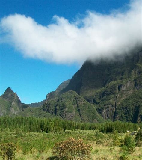 La Plaine des Cafres Évasion Pittoresque au Cœur de la Réunion OT