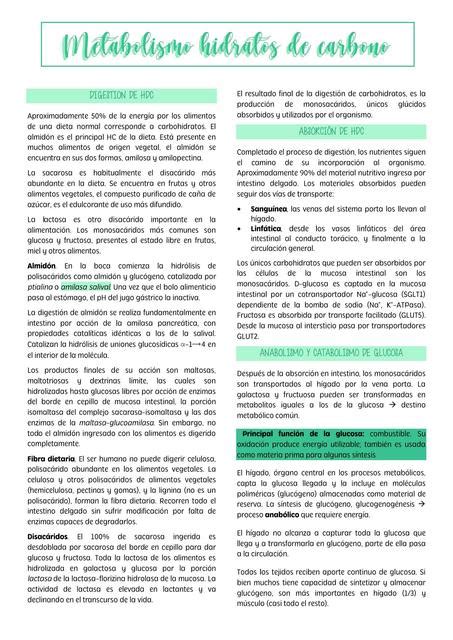 Metabolismo De Hidratos De Carbono Resumenes Medicina Udocz