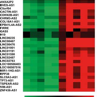 Lncrna Expression Profiling Heatmap Of De Lncrnas De Lncrnas Were