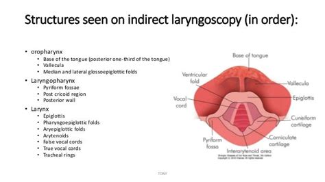 Instruments Ent Ppt With Uses Otorhinolaryngology Ent