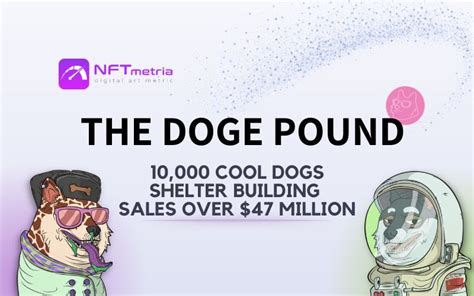 The Doge Pound: NFT project as a pop culture of crypto dogs