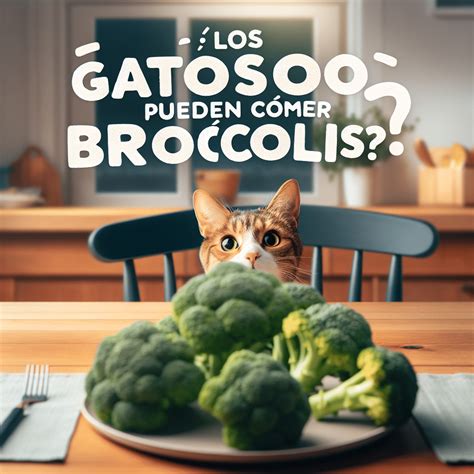 ¿pueden Los Gatos Comer Brócoli Descubre Los Beneficios Y Riesgos De