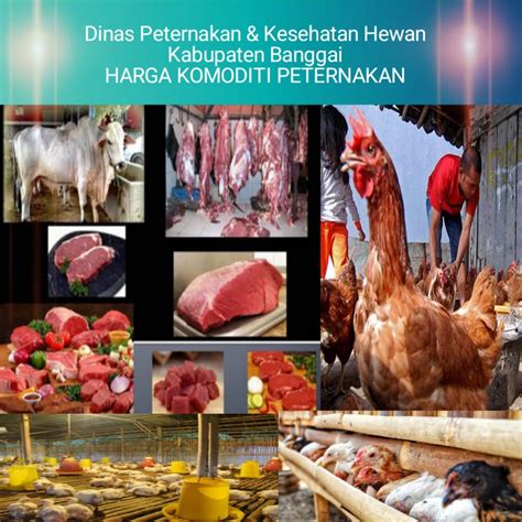 DAFTAR HARGA TERNAK HASIL TERNAK PAKAN TERNAK DAN PRODUKSI OLAHAN