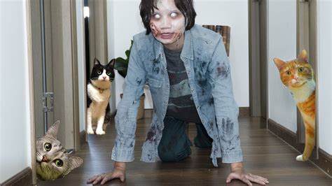 Cats Vs Zombies How Cats Survive A Zombie Apocalypse Funny Cat