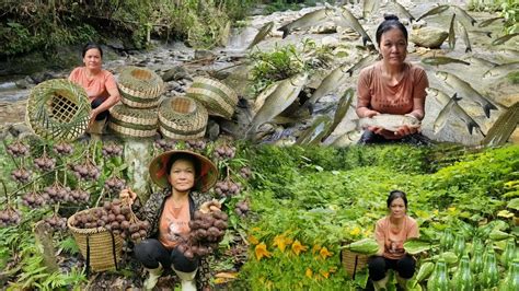 Full Video Days Of Harvesting Fruits And Vegetables And Weaving