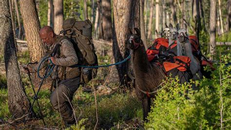 Predator calling tactics for black bears // GOHUNT. The Hunting Company