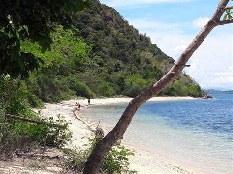 Beach Lot For Sale In Busuanga Op Philx Pat Real Estate