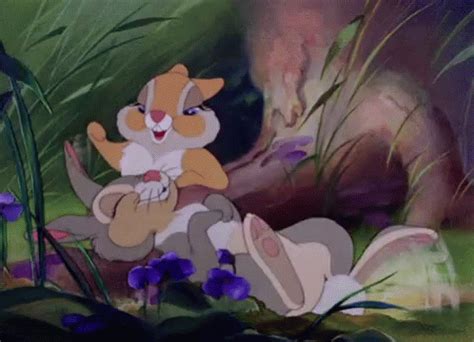 Thumper Bambi GIF - Thumper Bambi Funny - Discover & Share GIFs