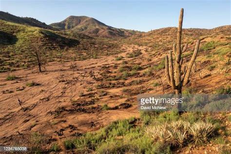 Arizona Desert Rain Photos and Premium High Res Pictures - Getty Images