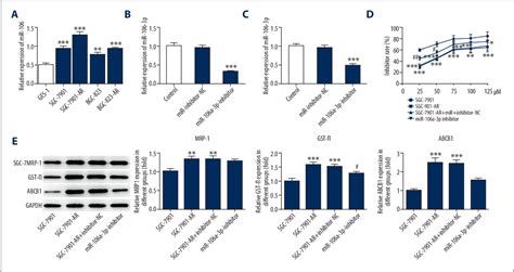 Figure 1 From Microrna 106a 3p Induces Apatinib Resistance And