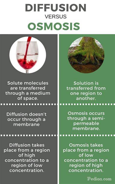 Difference Between Diffusion And Osmosis