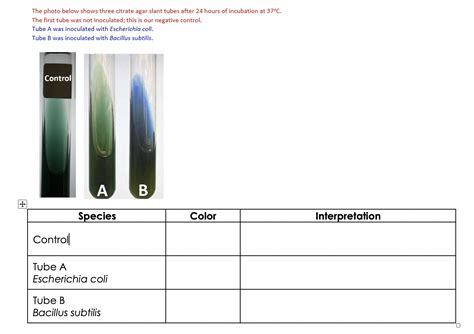 Solved The Photo Below Shows Three Citrate Agar Slant Tubes Chegg