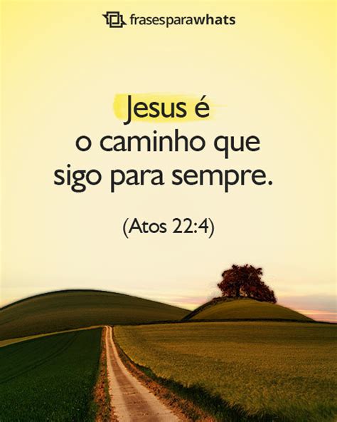 Versículo Para Perfil De Whatsapp - 191 Status Bíblicos para Whatsapp (Versículos de Deus) - Frases para Whats