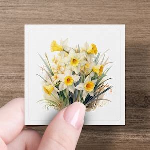 16 Daffodil Bunches Clipart Bundle High Quality Craft Art Card