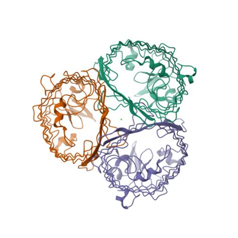 Rcsb Pdb D Structure Of Porin Omp Pst From P Stuartii The