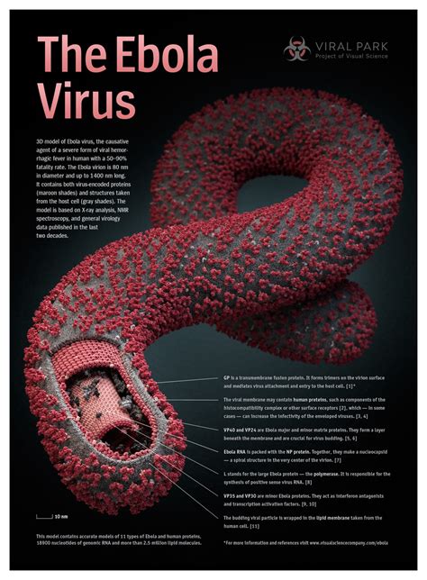 Viruses - Science News