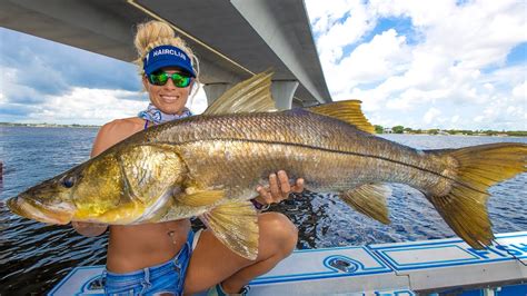 River Monsters Exist Bridge Fishing For Giant Snook Youtube