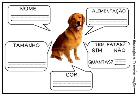 Ficha Tecnica De Animais Para Imprimir DASHGOO