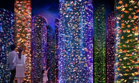 Art Aquarium becoming permanent attraction in Tokyo | blooloop