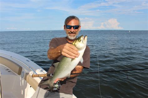 Fishing For Beginners How To Fish For Bluefish Fishtalk Magazine