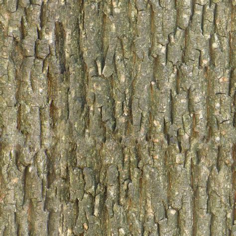 Tileable Bark Texture Texture ShareCG