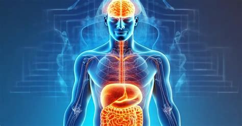 Cáncer Colorrectal Y Alteración De La Microbiota El Impacto Del Estrés