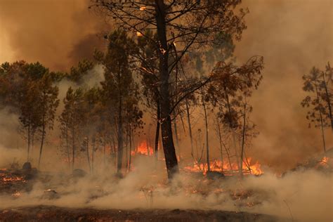 Méga Feux Au Portugal Les Fumées Des Incendies Vont Survoler Louest