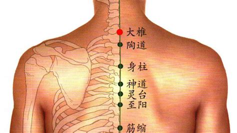 小儿发烧按摩5分钟退烧小妙招，掌握手法与穴位是关键 孕小帮