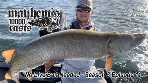 Giant Muskies On Big Rubber In The Late Fall In Minnesota Mayhem S