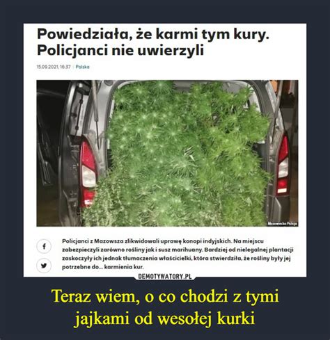 Teraz Wiem O Co Chodzi Z Tymi Jajkami Od Weso Ej Kurki Demotywatory Pl