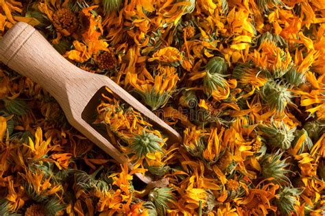 Dried Calendula Petals Sophix Natural