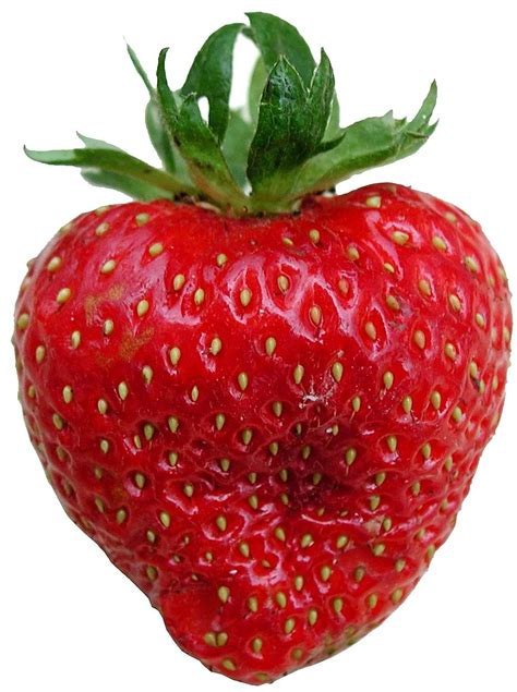 picture strawberry fruit