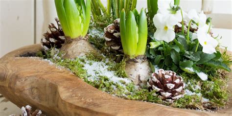 Frühlingshafte Grüße Im Winterschön Bei Dir By Depot Garden Plants Diy And Crafts