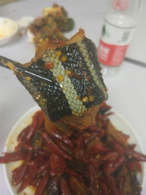 The one bite when you realize it isn't fish : r/pics